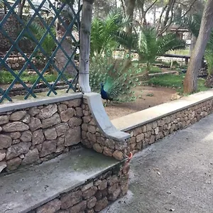 16 Portugal